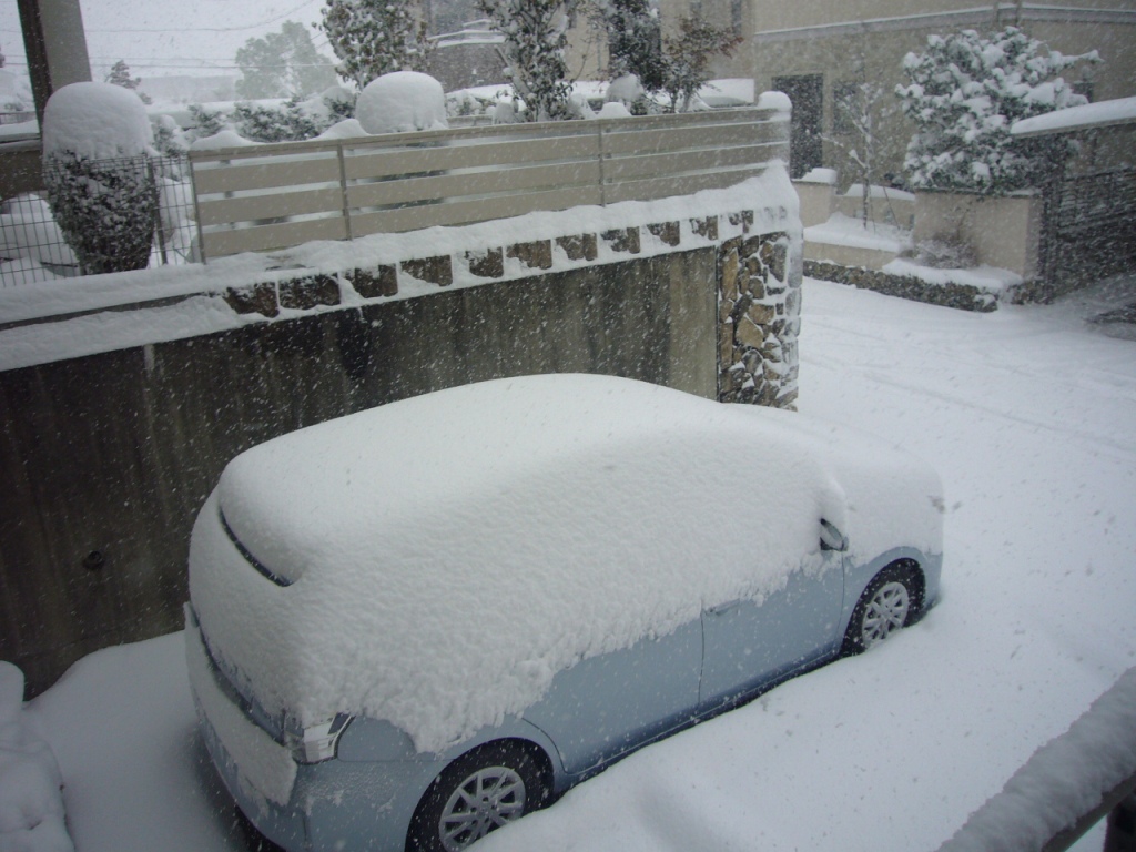 P1170355-.jpg