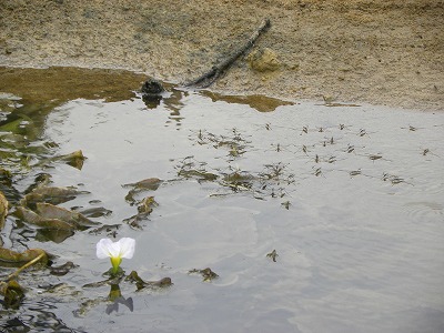 DSCN9935.jpg