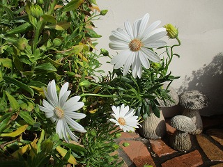 IMG_8833ss.jpg