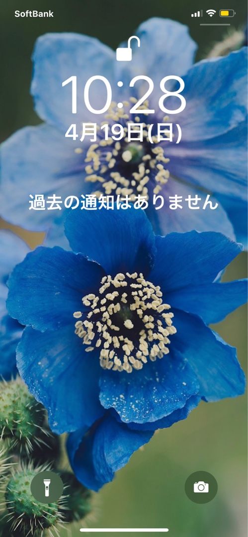 花の画像検索のアプリ Picture This のギャラリー 壁紙で見つけたヒマラヤの青い芥子 Music Land 私の庭の花たち 楽天ブログ
