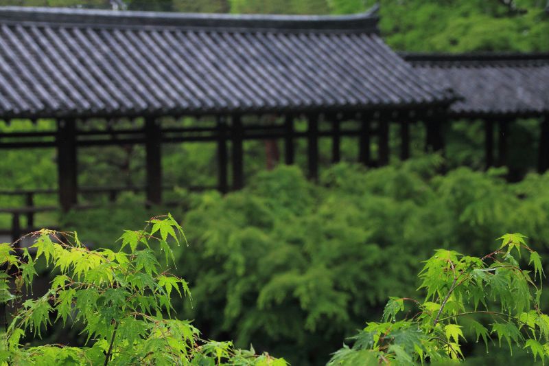 東福寺_004.jpg