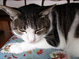 IMG_6277ss.jpg