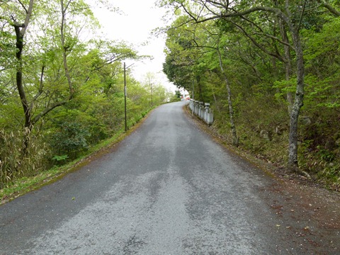 P1050776.JPG