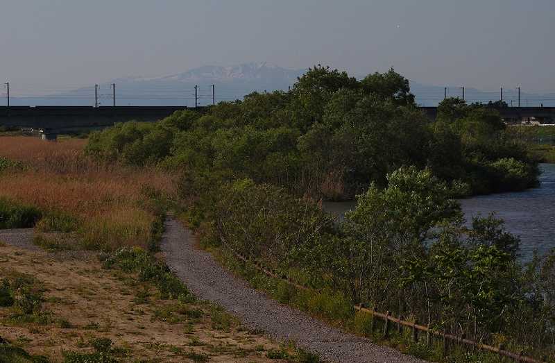 IMG_9849 (800x523).jpg