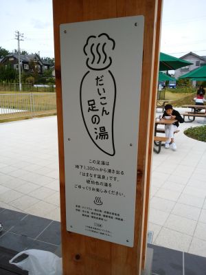 IMG_20171028_142111.jpg
