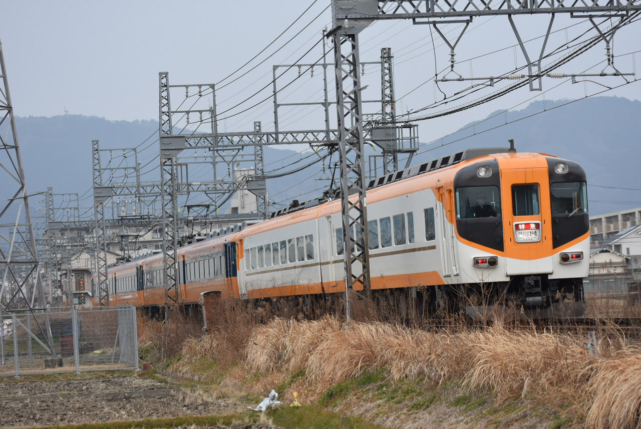 DSC_4861.JPG