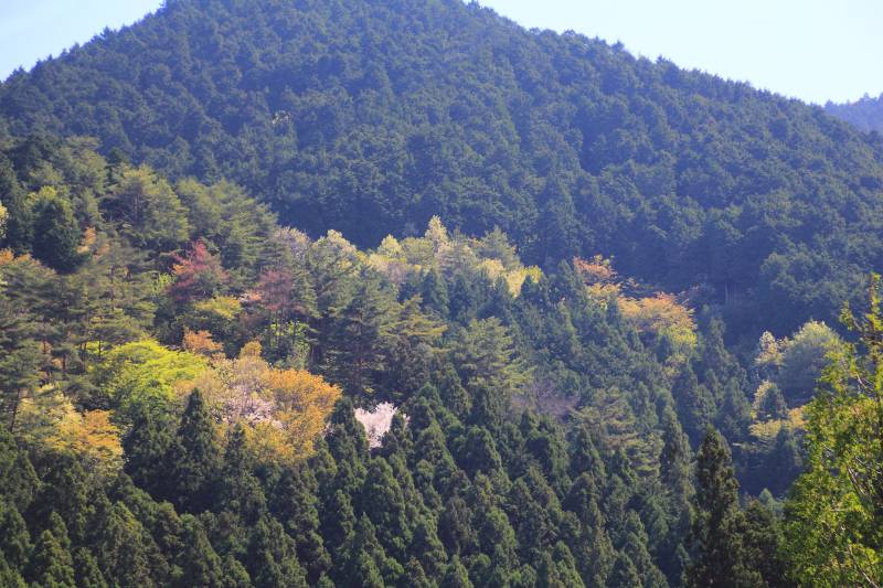 金剛山_002.jpg
