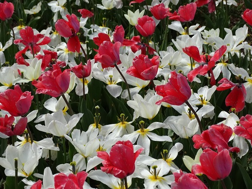 2015.04.18-6.JPG