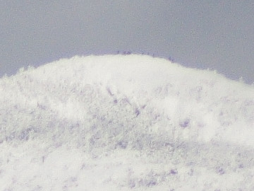 登山隊160206