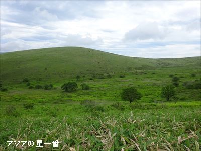 20160702 霧ヶ峰湿原8