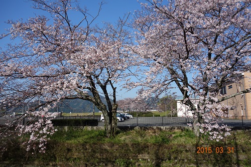 DSC02102.JPG