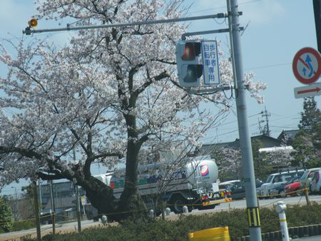 DSCF8059-450.jpg