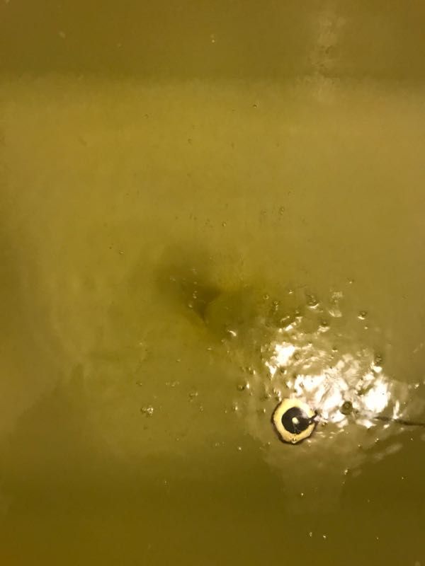 rblog-20170604201526-07.jpg