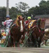 ばんえい競馬イメージ写真