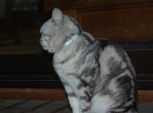 DSC_0348.JPG