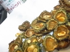 ゴーヤ揚げ (3)