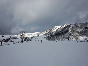 IMG_20150104_111925.jpg
