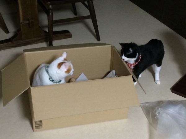 rblog-20150610055612-02.jpg