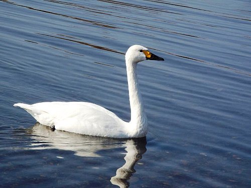 1-27 kohakutyou-127-b.jpg