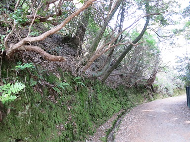 安芸の宮島へ239.jpg