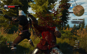 w21.jpg