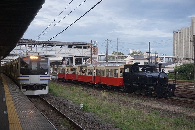 小湊鉄道 ｢大人の夜 トロッコビール列車｣6