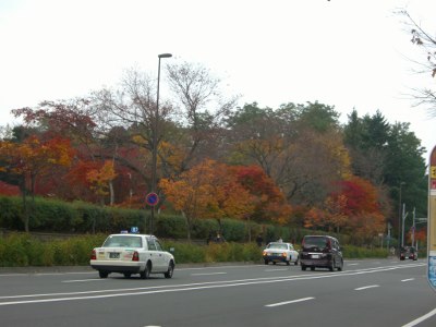 CIMG4299 (400x300).jpg