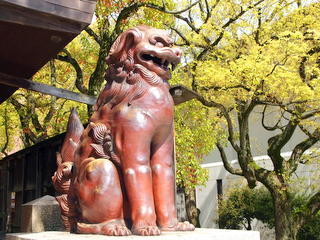 湊川神社・狛犬・備前　20100417