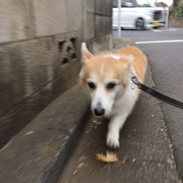 rblog-20180108090207-02.jpg