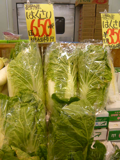 高騰した白菜