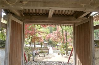 P1030016.png