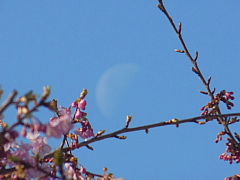 conv0666.JPG