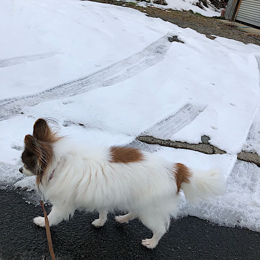 rblog-20190105103910-01.jpg
