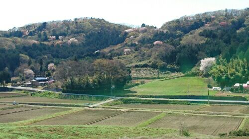 rblog-20160411215707-00.jpg