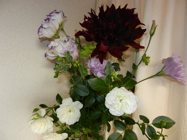 DSCN3911.JPG