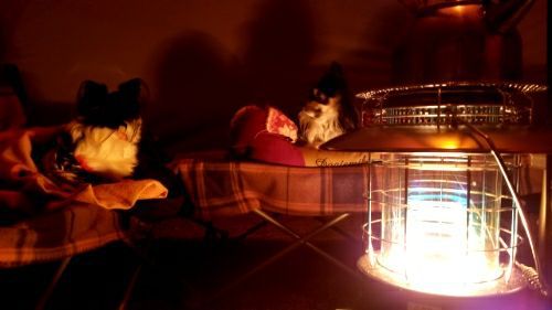 rblog-20171107062459-03.jpg
