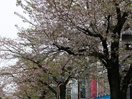 IMG_8418-10.jpg