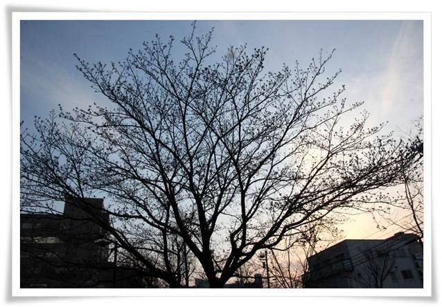 金沢地方気象台-5 15.3.31