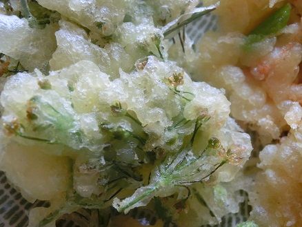 ニラの花 ヒガンバナ科だって ニラの花の天ぷらで０円ランチ 静かな時が流れる 風の庭 楽天ブログ