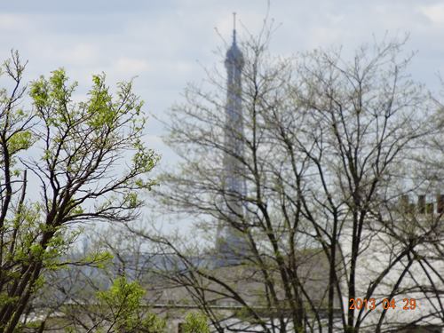 DSC02490_R.JPG