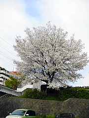 conv0711.JPG