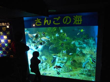 越前松島水族館