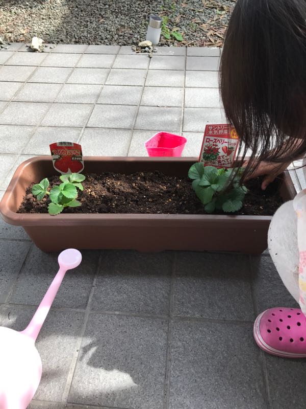 rblog-20180318211729-02.jpg