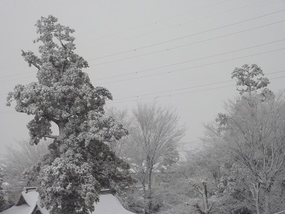 雪.jpg
