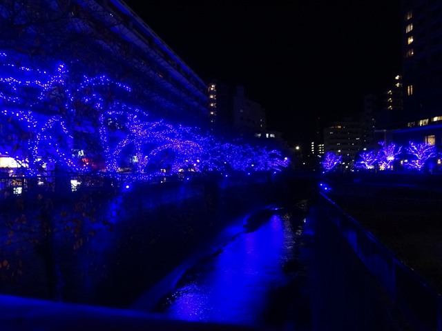 DSC08893_R.JPG