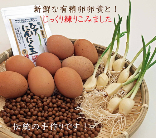 ひげにんにく4(1).jpg