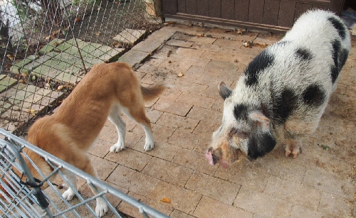 PA143119.JPG