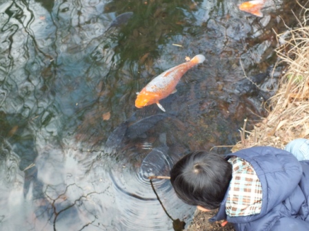 実家