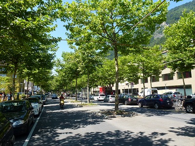 P1040982.jpg