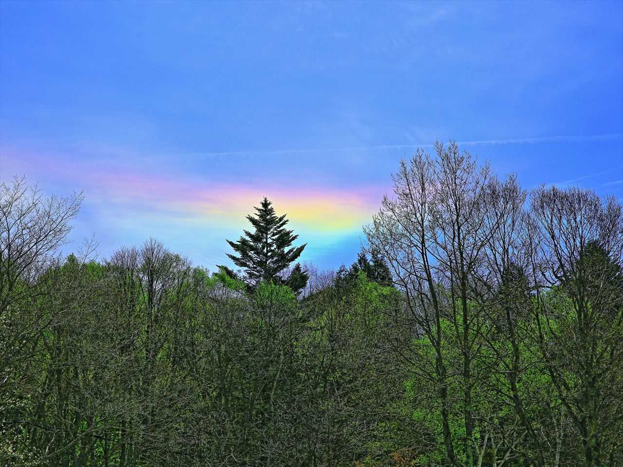 植木屋の三代目をやってます村野園のブログです。
